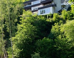 Toàn bộ căn nhà/căn hộ Ferienwohnung Villa Abrioux Am Park (Bad Bertrich, Đức)