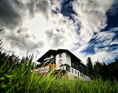 Khách sạn Alpen Arnika (Bad Mitterndorf, Áo)