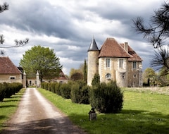 Bed & Breakfast Chateau de Saint Georges (Bourges, France)