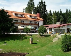 Hotel Jenisov (Horní Planá, Češka Republika)