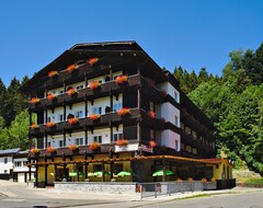 Khách sạn Natur- Und Wanderhotel Am Steinbachtal (Bad Kötzting, Đức)