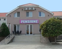 Pansion Pensiunea Rodica (Nădlac, Rumunjska)