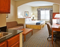 Otel Holiday Inn Express & Suites Dallas/Stemmons FwyI-35 E (Dallas, ABD)