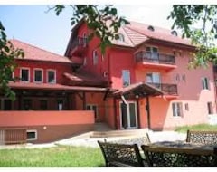 Guesthouse Pensiunea Marina (Bran, Romania)