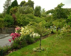 Bed & Breakfast Cathedral Peaks (Manapouri, Nueva Zelanda)