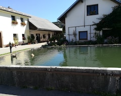 Pensión Old School Villa (Cerknica, Eslovenia)