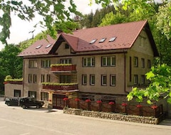 Hotel Dom Nad Wodospadem (Międzygórze, Poland)