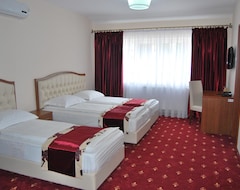 Hostel Paltinis (Hunedoara, Romanya)