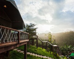 Hotel Khaosok Discovery Boutique Camps (Surat Thani, Thailand)