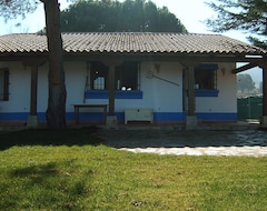 Casa rural Vivienda Vacacional El Sarguero (Piedrabuena, Tây Ban Nha)