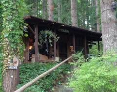Entire House / Apartment Unique Cabin In The Woods Near Mount St. Helens (Castle Rock, USA)