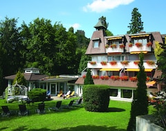 Khách sạn Hotel Ritter Badenweiler (Badenweiler, Đức)