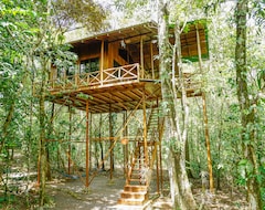 Khách sạn Tree Houses Hotel Costa Rica (San Ramón, Costa Rica)