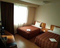 Hotel Stay In Sannou Plaza Premier Annex (Tsuruoka, Japan)