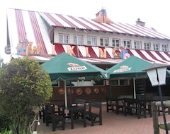 Hotel Zajazd Wiking (Wasilków, Poland)