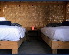 Hele huset/lejligheden Room In Guest Room - Camp - Santos Cabana Fabricio (Todos Santos, Mexico)