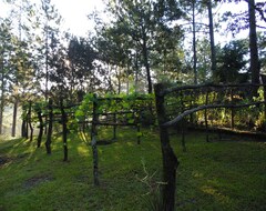 Hele huset/lejligheden Beautiful Cabin On Amazing Forest In Perquin (Perquín, El Salvador)