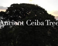 Hotelli Ceiba Tree Lodge (Arenal, Costa Rica)