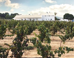 Casa Boquera Hotel  & Winery (Yecla, Spain)
