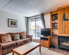 Hotel Comfortable 1 Bedroom Condo with Recent Upgrades. Easy Ski Access on the Lower Lehman Trail (Breckenridge, USA)