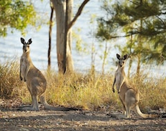 Resort NRMA Lake Somerset Holiday Park (Kilcoy, Úc)