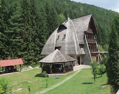 Khách sạn Vila Ursul (Voineasa, Romania)