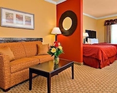 Hotel Comfort Suites Lawton Near Fort Sill (Lawton, Sjedinjene Američke Države)