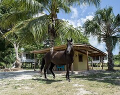Toàn bộ căn nhà/căn hộ Small Cosy Cabana In A Tropical Farm, With Horses In The Garden (Sarteneja, Belize)