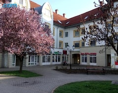 Toàn bộ căn nhà/căn hộ Rakoczi Apartman (Szorospatak, Hungary)