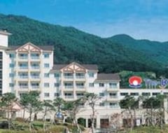 Khách sạn Hotel The-K Jirisan Family (Gurye, Hàn Quốc)