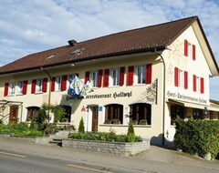Hotel Hallwyl (Seengen, Švicarska)