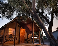 Koko talo/asunto Colorado River Rustic Cabin Rental Sleeps 4 (Ehrenberg, Amerikan Yhdysvallat)