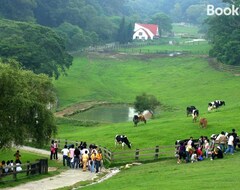 Nhà trọ Flying Cow Ranch (Tongxiao Township, Taiwan)
