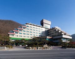Hotelli Danyang Tourist Hotel Edelweiss (Danyang, Etelä-Korea)