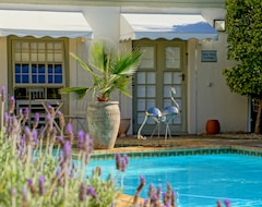 Hotelli Wild Olive Guest House (Kapkaupunki, Etelä-Afrikka)