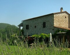 Toàn bộ căn nhà/căn hộ Studio-Apartment In Farmhouse (Castellina Marittima, Ý)