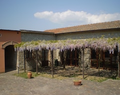 Toàn bộ căn nhà/căn hộ Il Vecchio Frantoio (Monteleone d'Orvieto, Ý)