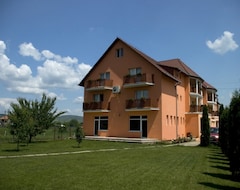 Hotel Vila Gong (Gilău, Rumænien)