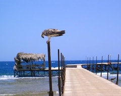 Pensión Zabargad Berenice Resort (Berenice, Egipto)