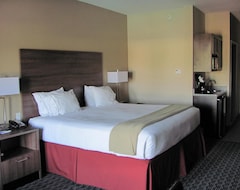 Hotel Holiday Inn Fredericksburg (Fredericksburg, USA)