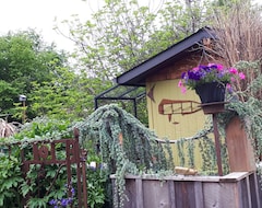 Toàn bộ căn nhà/căn hộ Figgy Cabin-for a treehouse feel, nestled under a giant fig tree. (Cumberland, Canada)