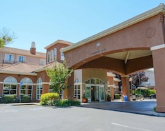 Otel Hilton Garden Inn Napa (Napa, ABD)