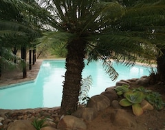 Khách sạn Cheetah Inn (Hoedspruit, Nam Phi)