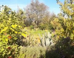 Cijela kuća/apartman The Ecotemple Is A Natural Sanctuary, A Beautiful Garden To Come To Rest (Limache, Čile)