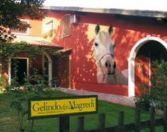 Hotel Gelindo Dei Magredi (Vivaro, Italija)