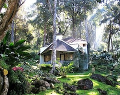 Hotel The Tall Trees (Munnar, Indien)