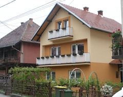 Pansion Guest House Obradovic (Guča, Srbija)