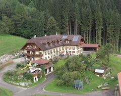 Hotel Baby-Kinder- Biobauernhof Roith (Scharnstein, Austria)