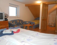 Otel Turisticna Kmetija Grasic - Gradisnik (Hotinja vas, Slovenya)