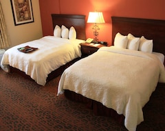 Hotel Hampton Inn & Suites Houston Katy (Katy, USA)